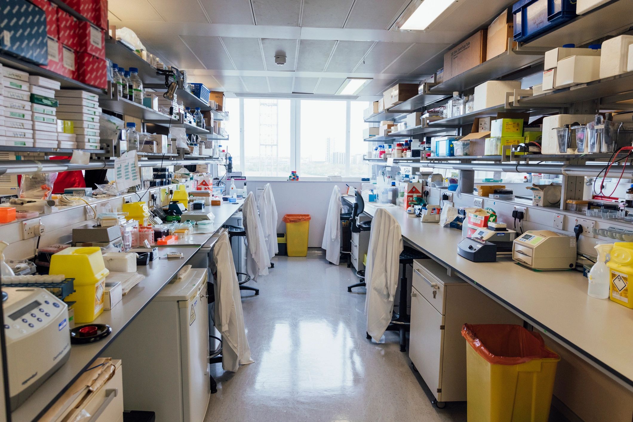 Professional laboratory workspace